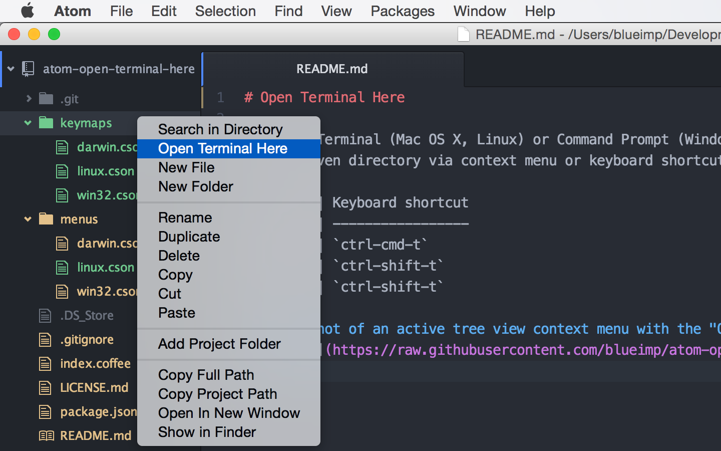 install chrome mac terminal